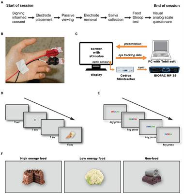 Mild hunger elicits attentional desensitization to visual food cues in healthy, non-obese individuals